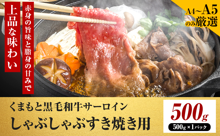 【厳選部位】【A4〜A5】くまもと黒毛和牛 サーロイン しゃぶしゃぶ すき焼き用  500g 《30日以内に出荷予定(土日祝除く)》熊本県 大津町 黒毛和牛 肉 お肉 和牛 牛 牛肉 A5 A4 サーロイン MEAT PLUS
