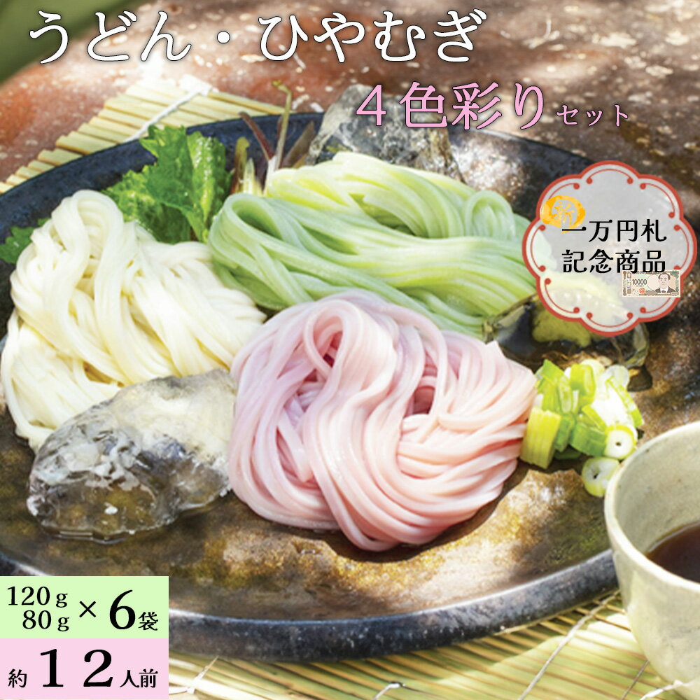 【ふるさと納税】渋沢栄一の里　4色彩りのうどん・ひやむぎセット　【11218-0168】