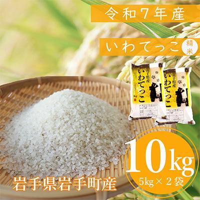 ふるさと納税 岩手町 令和7年度産 いわてっこ 精米10kg ブランド米(岩手県岩手町産)