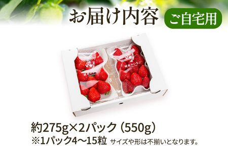 あまおう 約550g （先行受付／2025年1月以降順次発送予定）いちご 大粒 不揃い DX デラックス エクセレント 苺 イチゴ 福岡高級 フルーツ 土産 福岡県