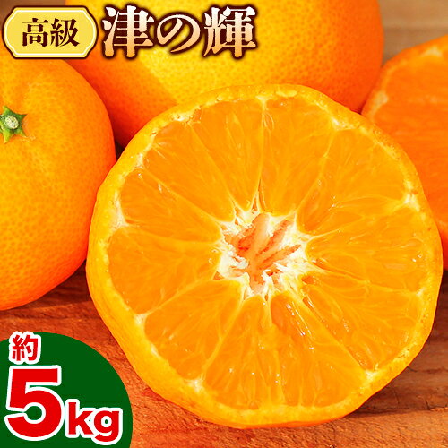 【ふるさと納税】高級津の輝 約5kg 主井農園《1月下旬-2月中旬頃出荷》 和歌山県 日高町 みかん 柑橘 高級 贈答 贈り物 おくりもの プレゼント ギフト 記念日 送料無料