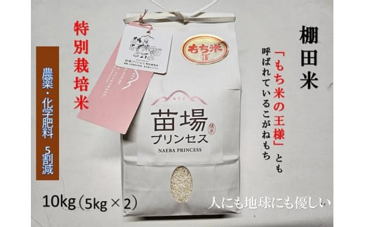 もち米 10kg ( 5kg × 2袋 ) 魚沼産 こがねもち 苗場プリンセス 特別栽培米 | 精米 コガネモチ 餅米 モチ米 農薬化学肥料5割減 ブランド米 おすすめ 人気 新潟県 津南町