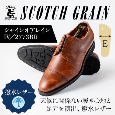 ふるさと納税 墨田区 スコッチグレイン「シャインオアレインIV」No2773 BRN24.0cmE紳士[56197601]