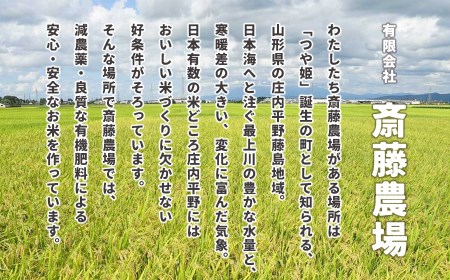 斎藤農場のパックごはん 大盛り 200g×24食 無菌包装米飯 K-853