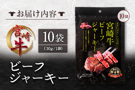 宮崎牛 ビーフジャーキー 10袋 (30g×10袋) おつまみ 宮崎県産