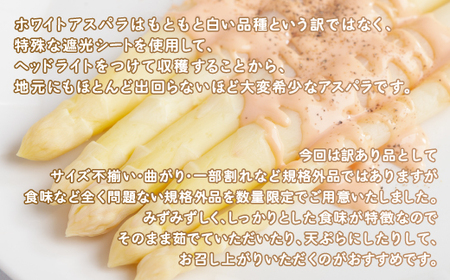 「数量限定訳あり品」希少なホワイトアスパラ 700g【配送不可地域：離島】（2026年4月10日以降発送）【配送不可地域：離島】 BHRG066