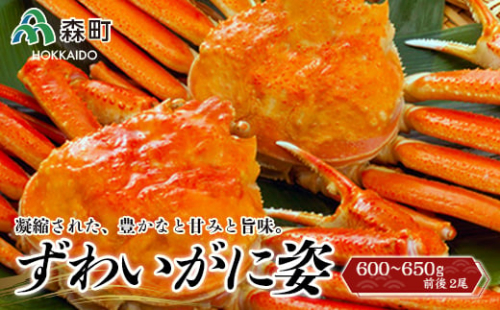 【12月発送】 ずわいがに姿 約600～650g前後 2尾＜ワイエスフーズ＞ かに カニ 蟹 ガニ がに 森町 ふるさと納税 北海道 ずわいがに ずわいかに ズワイガニ mr1-0672-2