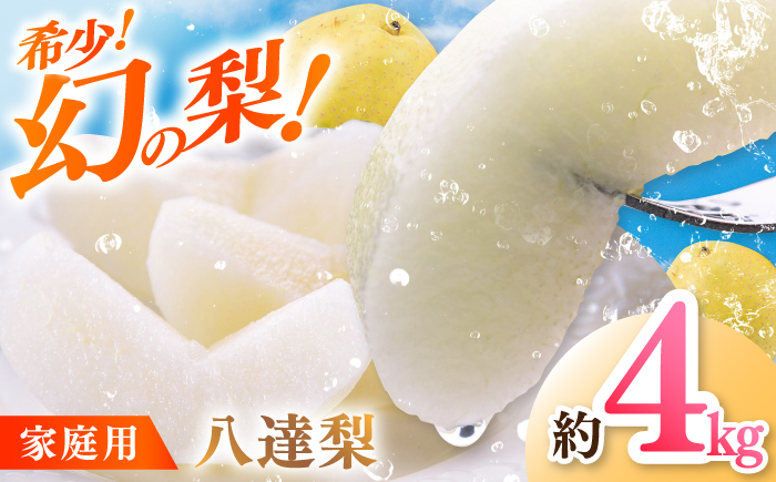 【先行予約】 川渕果樹園 八達梨 約4kg 家庭用 〈2025年10月～発送〉 / 梨 なし ナシ 果物 フルーツ デザート 秋 甘い ジューシー 【株式会社Dorago】 [ATAM061]