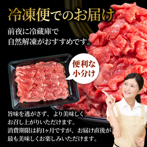 【訳アリ】 能登牛 切り落し 550g 能登牛 切り落し
