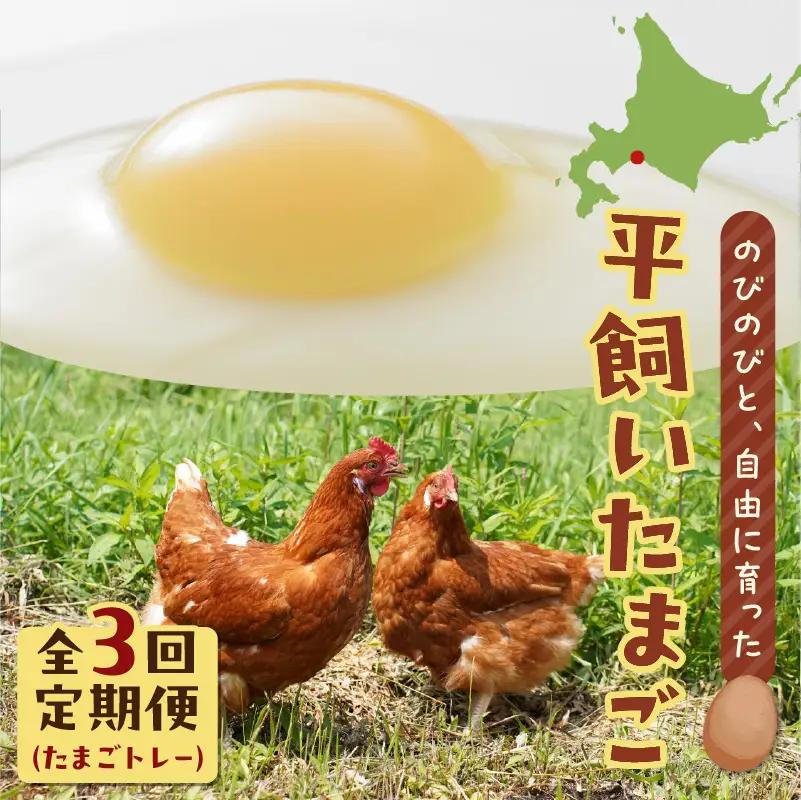 【 全3回 定期便 】 平飼い たまご （ たまごトレー ） T074-T01-02 卵