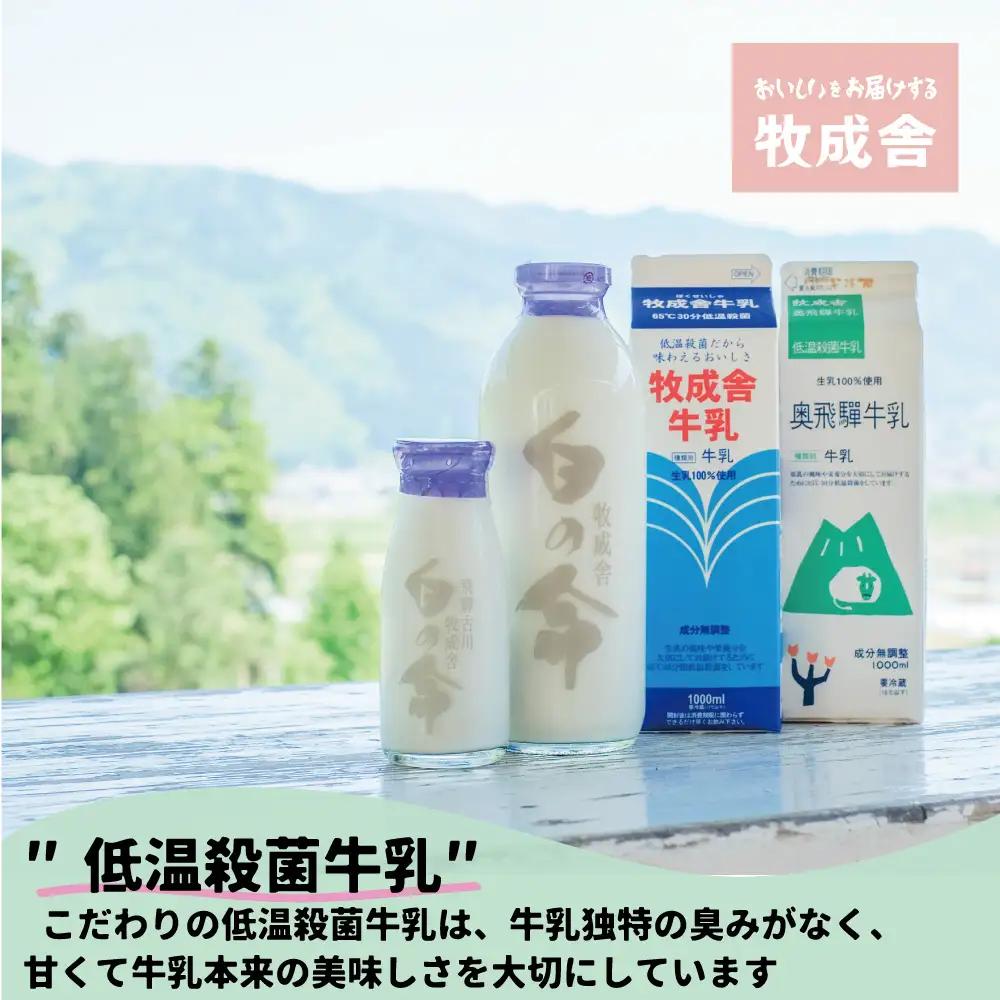 【毎週定期便 牛乳 3本×4回】 毎週 回数選べる 1ヶ月 飛騨産生乳100％ 牧成舎 美味しい低温殺菌牛乳 乳製品 飛騨 お楽しみ
