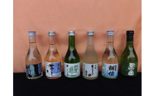 
生貯蔵酒飲み比べセット 300ml×6本 日本酒 地酒 新潟 糸魚川 ギフト
