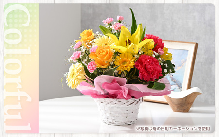 定期便 ≪6ヶ月連続お届け≫ 選べるカラー 季節のフラワーアレンジメント M (カラフル)【お花 フラワー アレジメント 花束 ギフト 生花 プレゼント 花束 花 記念日 敬老の日 お祝い】 [G-2