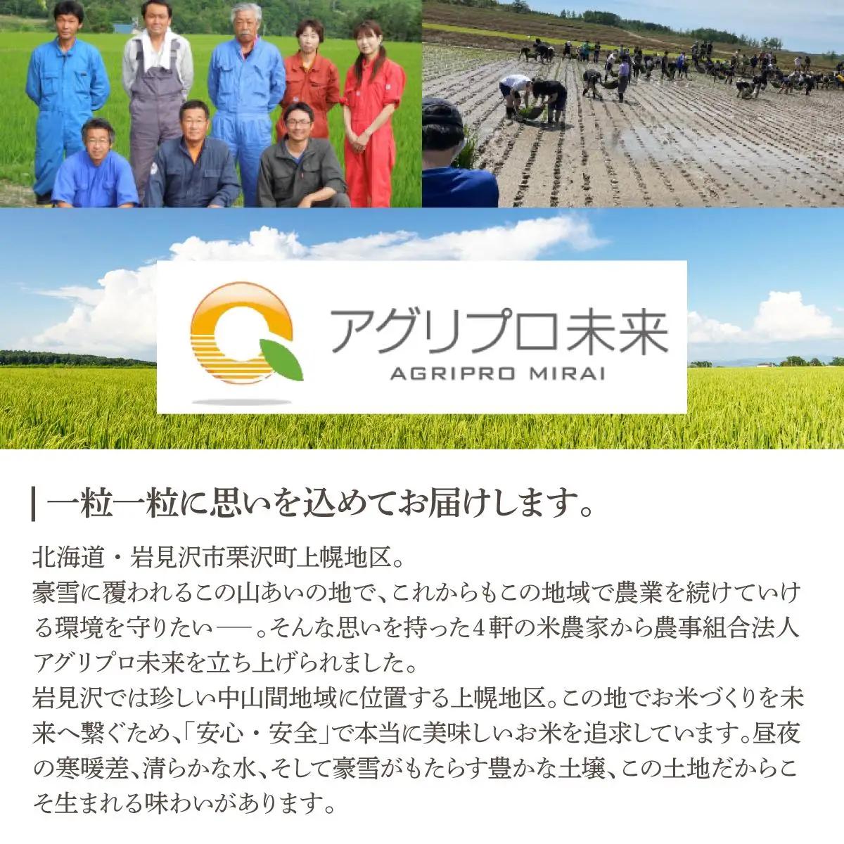 令和7年産 アグリプロ未来のゆめぴりか 10kg(5kg×2袋)【a178-002】