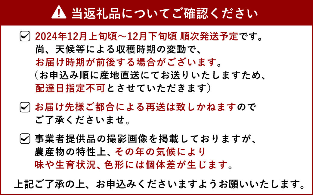 【先行予約】 宇城市産 加温栽培 不知火 約3kg（約7玉～10玉） 坂下園【2024年12月上旬から下旬発送予定】