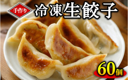 手作り冷凍生餃子 60個 計1.47kg｜餃子