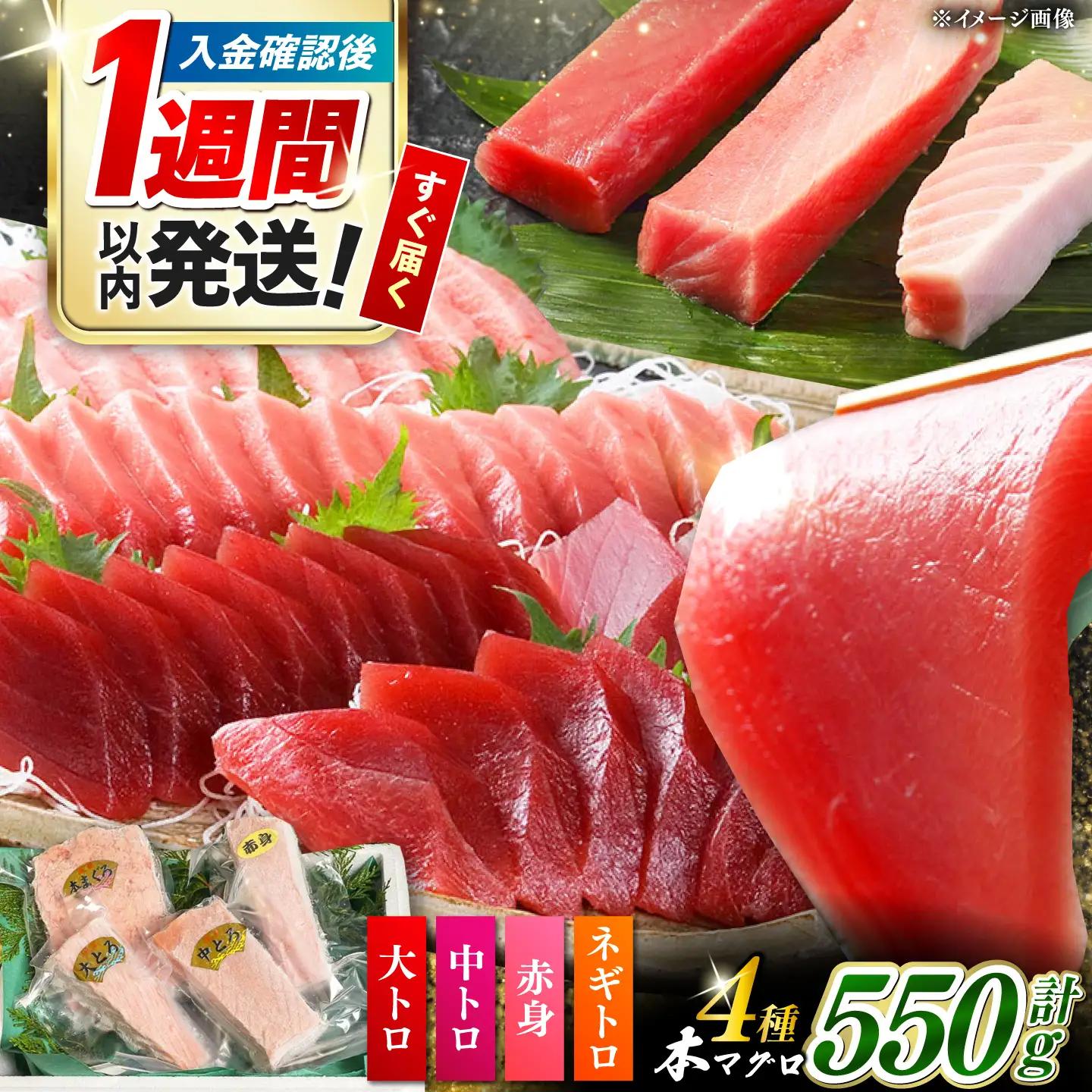 【1週間以内発送】対馬産 本マグロ 4種 計550g（赤身/中トロ/大トロ/ネギトロ）[WAH003] 本まぐろ  スピード発送 最速発送 最短発送