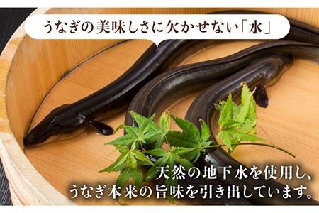 【3回定期便】こだわりの国産うなぎ蒲焼・白焼 計6枚セット（うなぎ蒲焼3枚・白焼3枚）×3回[FAD010]