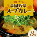 【ふるさと納税】【ナチュラルファーム菓樹】農園野菜スープカレー 3個セット