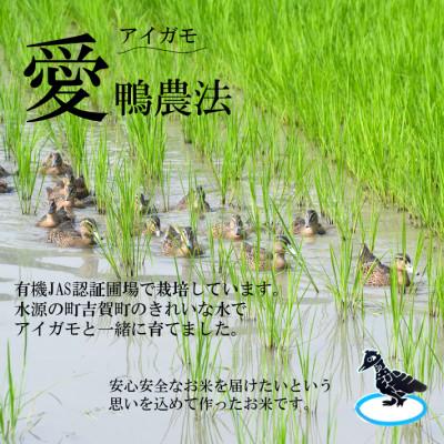 ふるさと納税 吉賀町 【有機米】令和7年産　吉賀町産つや姫「鴨ん米米」　精米10kg |  | 01