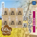 【ふるさと納税】令和6年産 真室川町 コシヒカリ ［玄米］ 60kg 定期便（10kg×6回お届け）