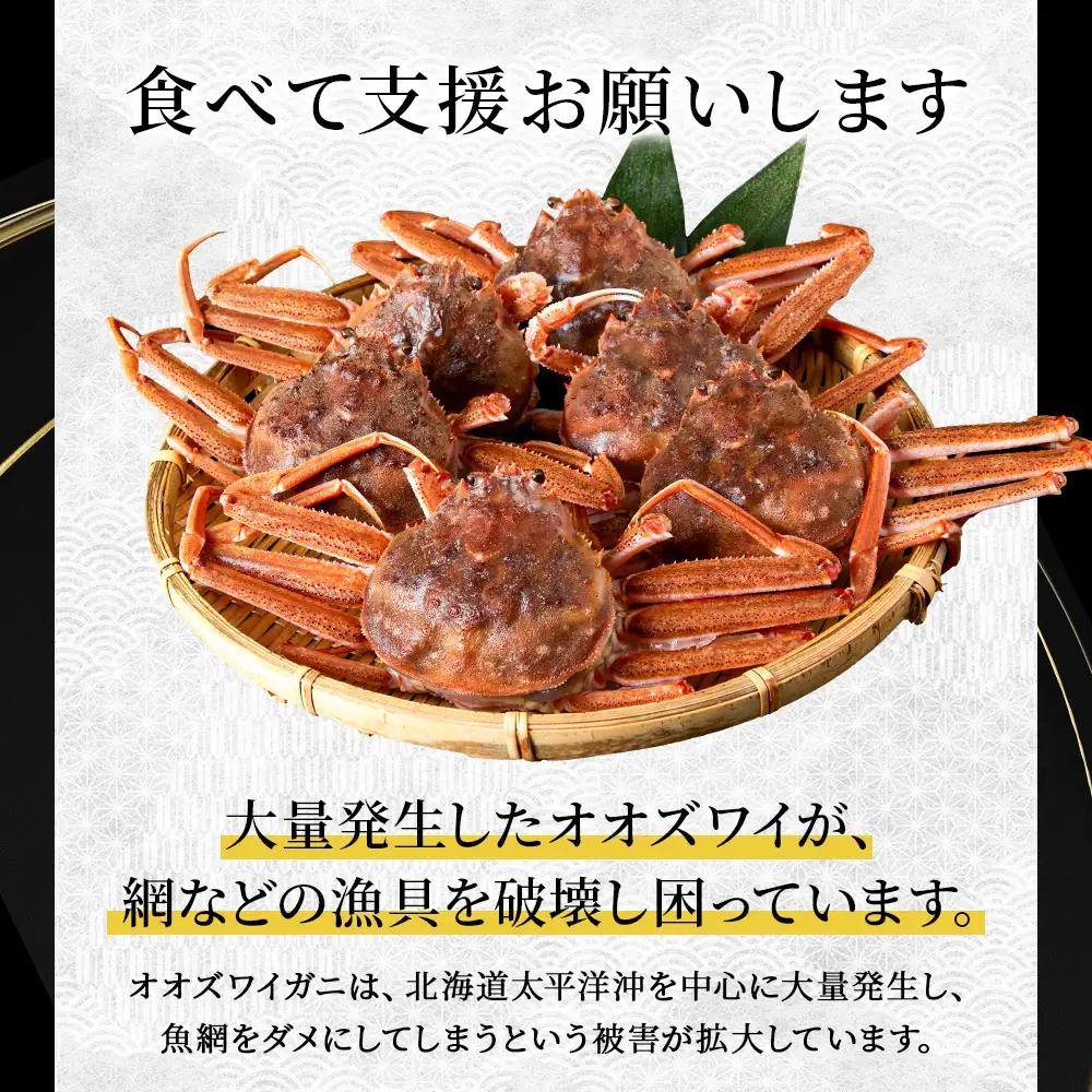 北海道産 生オオズワイガニ メス 1kg （加熱用） 〈斉藤水産〉 AM158