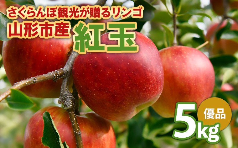 
                  さくらんぼ観光が贈るリンゴ  紅玉 こうぎょく 優 5kg  FY26-040
                