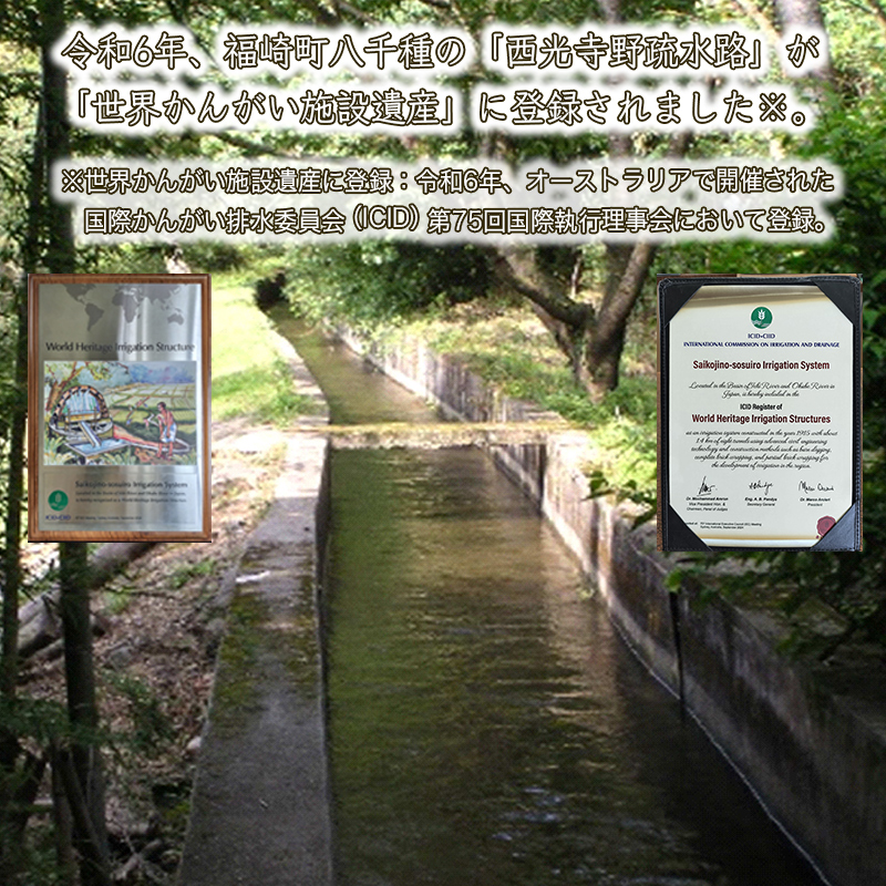 【精米】令和7年度産 ヒノヒカリ 八千種米 お米 5kg ごはん 兵庫県産 世界かんがい施設遺産登録『西光寺野疏水路』