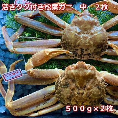【先行予約 2026年11月中旬以降発送】活きタグ付き松葉ガニ　中　2枚　１枚500～640ｇ前後MK9
