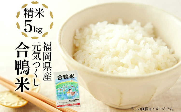 
令和6年産 予約 合鴨米「元気つくし」（精米・5kg）数量限定 BI08
