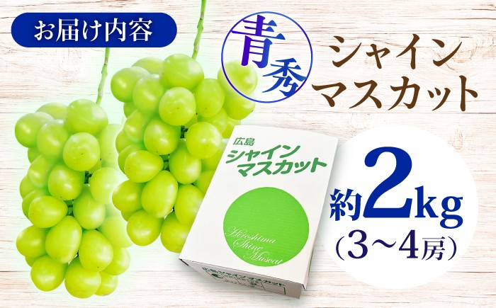 シャインマスカット ぶどう シャイン ブドウ 果実 くだもの 果物 フルーツ