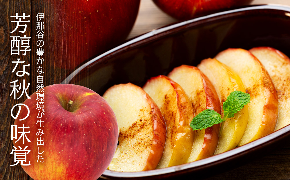 贈答用りんご 上伊那産 シナノスイート 約3kg 12玉 りんご リンゴ 林檎 信州りんご 信濃スイート 果物 くだもの フルーツ 旬の果物 旬のフルーツ デザート 贈答用 ギフト 贈り物 プレゼント