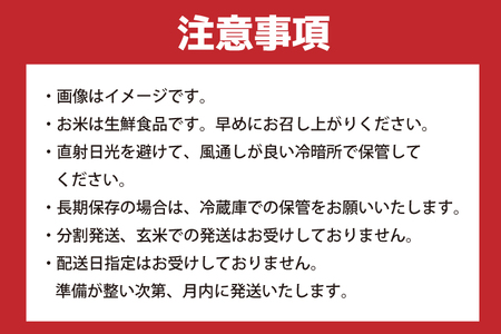 【2025年9月中旬より順次発送】★新米★R7年産 あきたこまち 20kg(5kg×4袋)｜米 お米 白米 精米 新米 R7年産 令和7年産 あきたこまち 先行予約 茨城県 茨城県産 行方市(HA-1