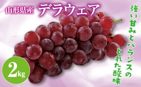 FYN9-383 《2025年先行予約》山形県産 デラウェア 2kg 2025年8月上旬から順次発送 種無し 食べやすい ぶどう ブドウ 葡萄 くだもの 果物 フルーツ 夏果実 自宅 家庭 産地直送 農家直送 山形県 西川町 月山