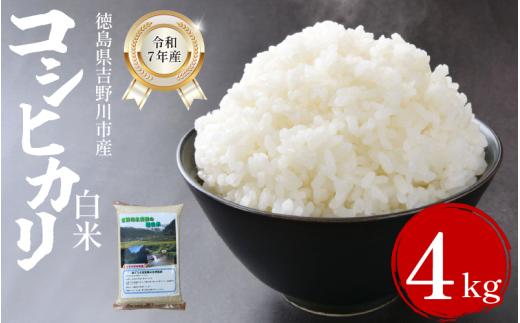 米 白米 選べる 容量 4kg （2kg × 2袋 ）コシヒカリ 令和7年度産 小分け お米 こめ 棚田米 白米 精米 ごはん ご飯 白飯 ゴハン 徳島県 吉野川市