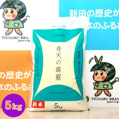 ふるさと納税 つがる市 令和6年産 青森県 つがる市産米 青天の霹靂 5kg (精米) [0724]