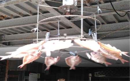 【倉敷市下津井産】おまかせ一夜干し5点セット 4種 天然鯛 干し魚 一夜干し 干物 魚 魚介 海産物 詰め合わせ 食べ比べ セット 岡山県 倉敷市