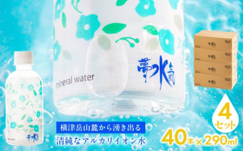 ミネラルウォーター夢水氣（290ml×40本）4セット 天然アルカリイオン水 軟水 【ふるさと納税 人気 おすすめ ランキング 天然アルカリイオン水 天然水 ミネラルウォーター 横津岳山麓 北海道 七飯町 送料無料】 NABI006