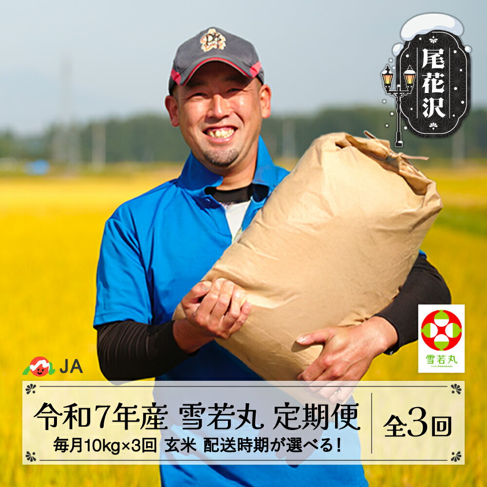 【ふるさと納税】新米 米 毎月定期便 10kg×3回 雪若丸 玄米 令和7年産 2025年産 山形県尾花沢市産 送料無料 ja-ywgxa10_tm