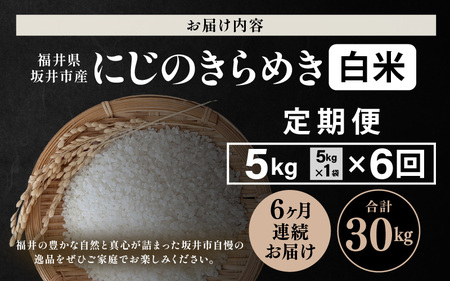【先行予約】【令和8年産・新米】 定期便 ≪6ヶ月連続お届け≫ 坂井市産 にじのきらめき 白米 5kg×6回 計30kg (田中農園) 【2026年10月以降順次発送予定】 【米 こめ お米 精米 ブ