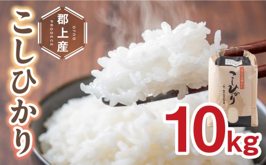 令和7年産 郡上産こしひかり 10kg 食品 米 精米 白米 コシヒカリ お米 コメ こめ 米 27000円 G0411-25b