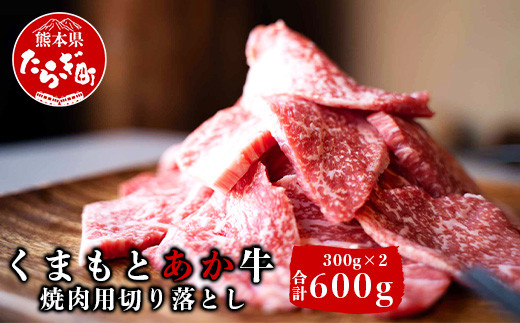 熊本県産 GI認証取得 くまもとあか牛 焼肉用切り落とし 600g 300g×2