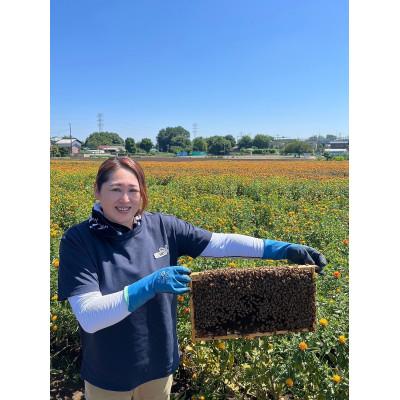 ふるさと納税 鴻巣市 国産完熟生はちみつ(非加熱はちみつ) 百花蜜 130g瓶×1個 |  | 01
