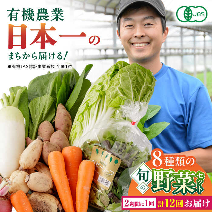 【ふるさと納税】【全12回隔週定期便】有機野菜 8種セット 野菜 詰め合わせ 熊本県産 産地直送 オーガニック【株式会社 肥後やまと】[YAF012]