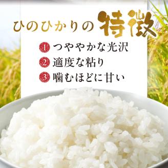 久留米ひのひかり　10Kg