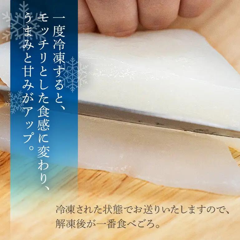 ソデイカ 約1kg いか  セーイカ