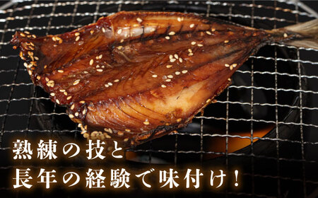 【全6回定期便】厳選 干物 セット [JAQ018] ひもの