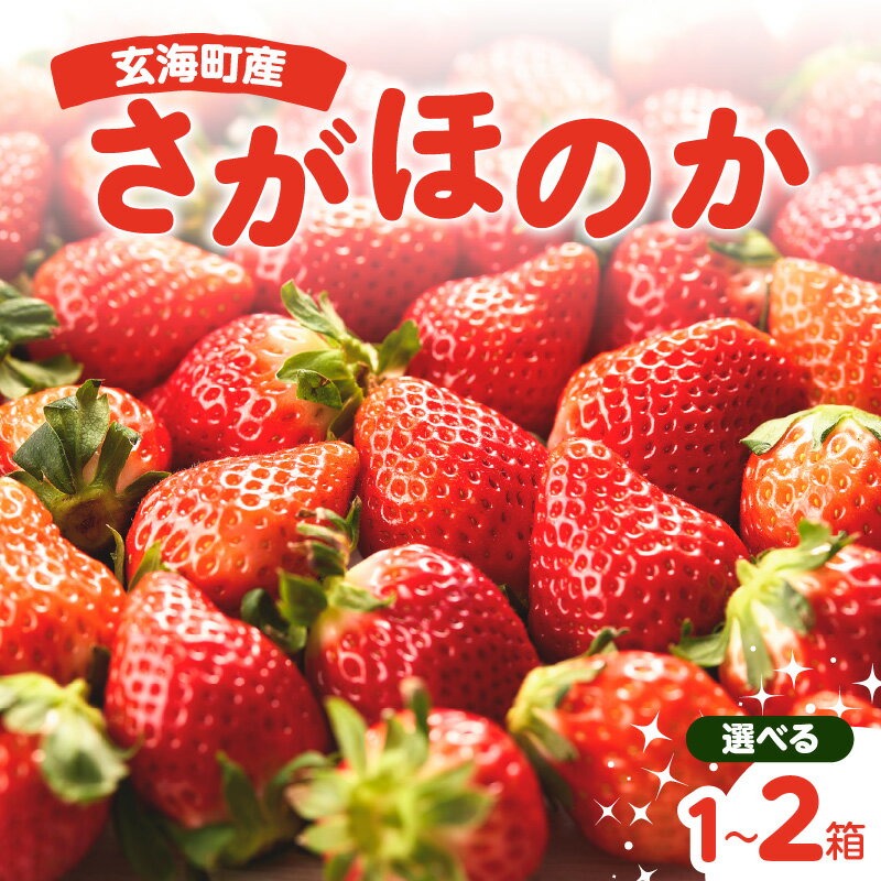 【ふるさと納税】【内容量選べる】〈予約受付〉平川いちご農園 佐賀県玄海町産さがほのか 1箱2パック or 2箱4パック（1月〜4月にお届け） ＼レビューキャンペーン実施中／