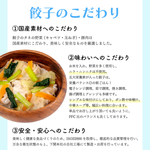 シモノセキギョウザ 120個 冷凍 餃子 IB 【 餃子 】
