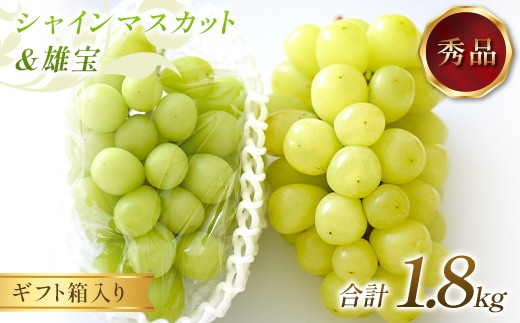 
            ぶどう シャインマスカット＆雄宝 1.8kg 秀品 ギフト箱入り 【令和8年度 先行予約】 FSY-2655
          